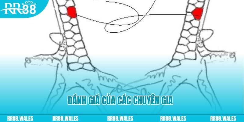 m88 link PP Điện Tử