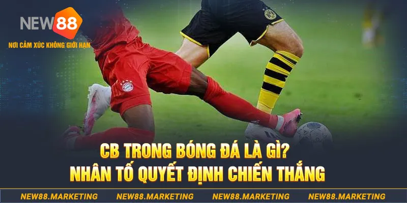 m88 link cá cược bóng đá là gì